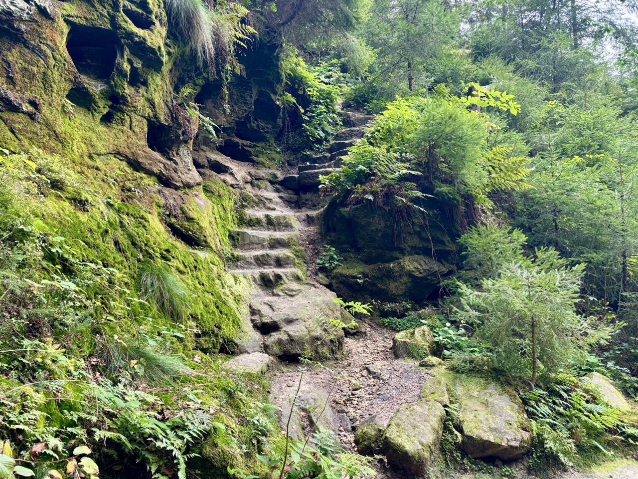 Sächsische Schweiz