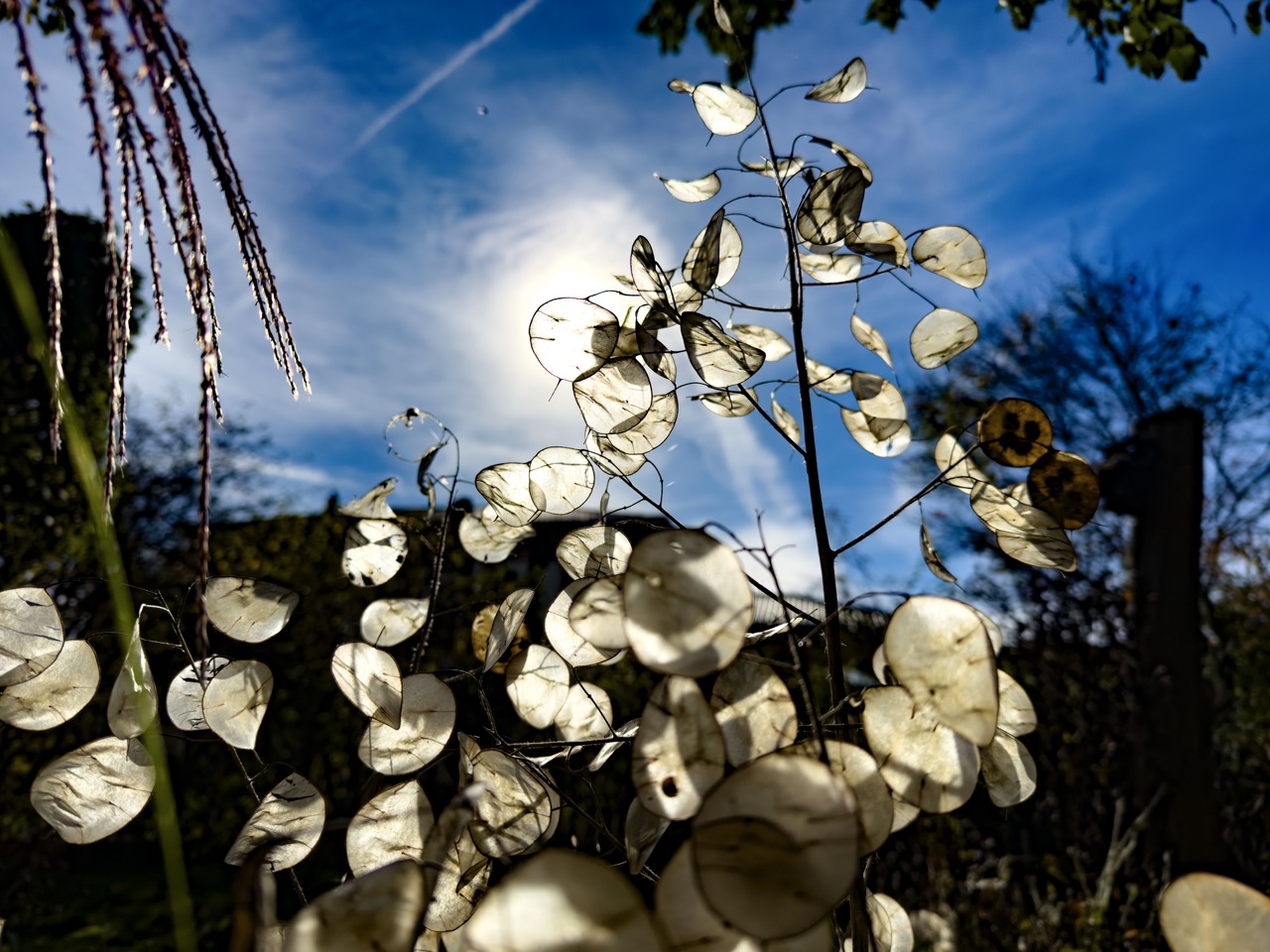 Gartenherbst