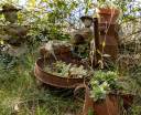 Jardin_Nelly