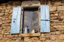 LeVal_Fensterbild