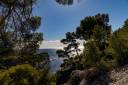 cassis_blick_1