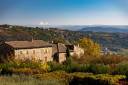 ribes_1