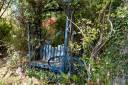 Jardin_Nelly_1