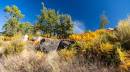 wanderung_sanhilac_wiese