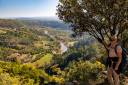 ribes_3